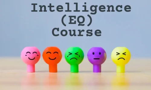 Emotional Intelligence Course